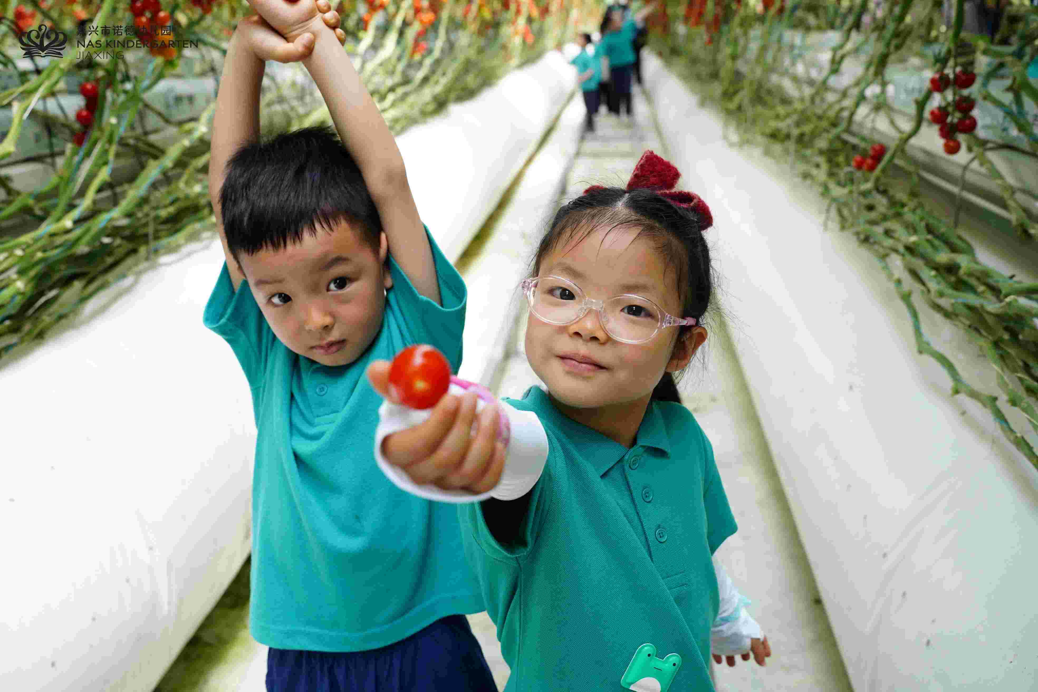 教学特色与学术优势 | 嘉兴市诺德安达学校 - 05 VisualTimeline WithTags